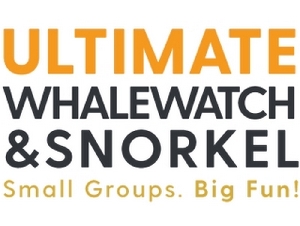Ultimate Whale Watch & Snorkel